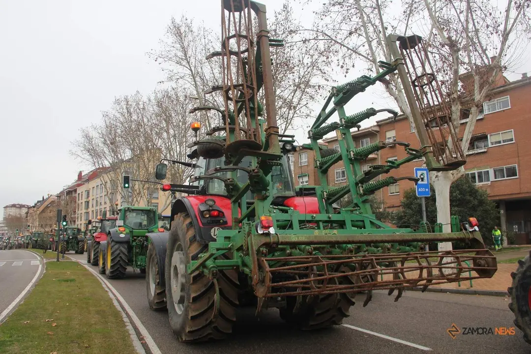 Manifestación 9 de febrero_8