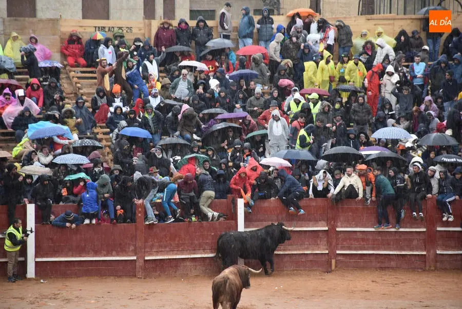 Carnaval del Toro vía Salamancartvaldia.es