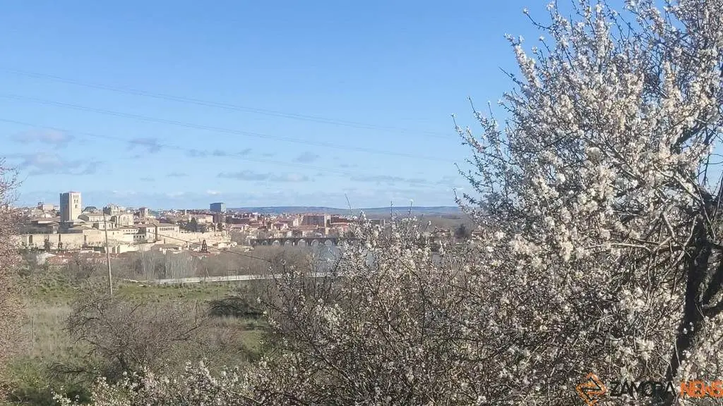 día soleado en Zamora 