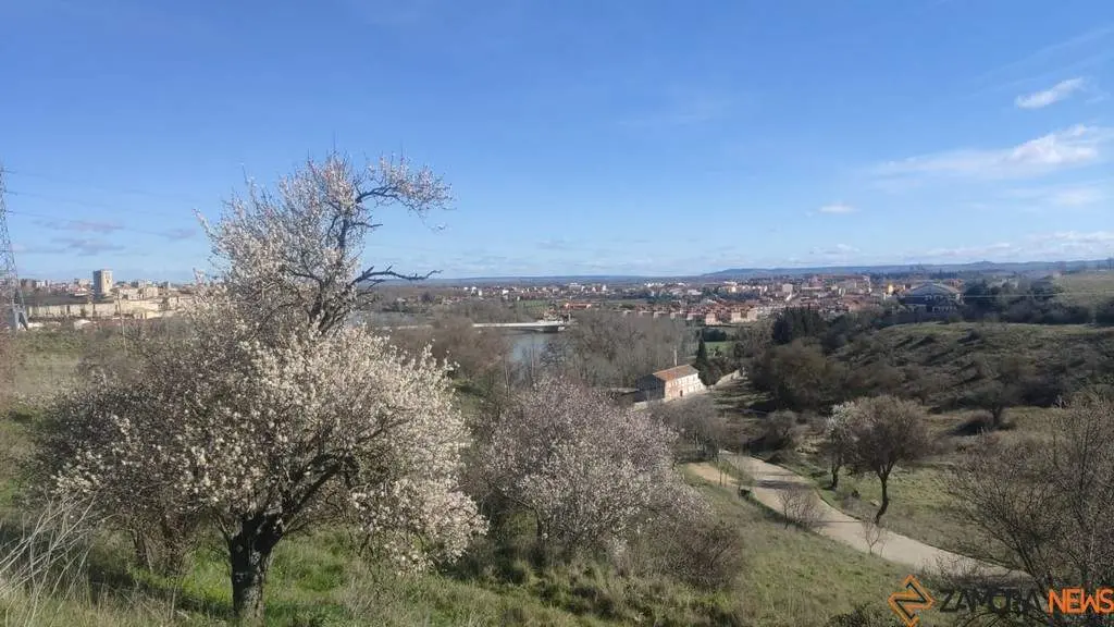 día soleado en Zamora _2