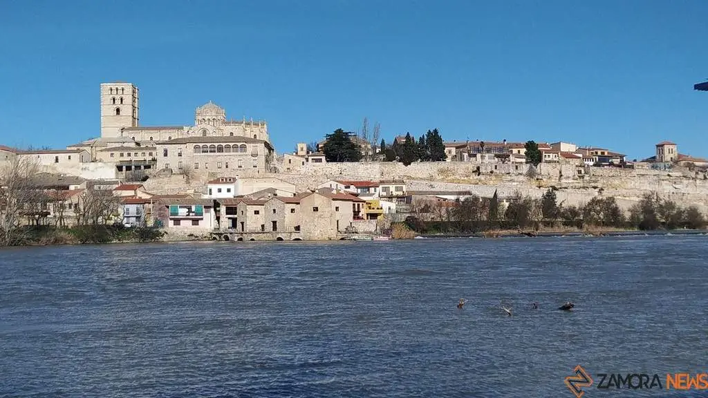 día soleado en Zamora _3