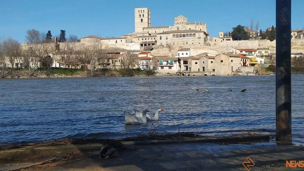 día soleado en Zamora _4