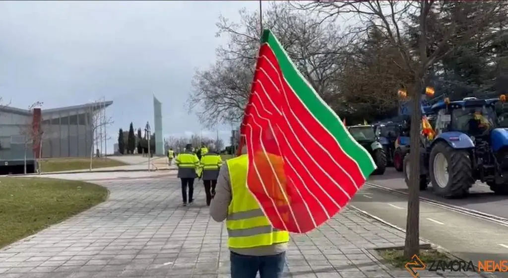 agricultores y ganaderos de Zamora presentes en la manifestación de Valladolid 