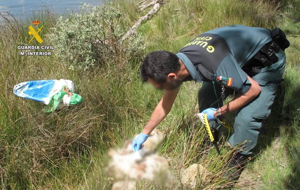 Fotografía de la toma de muestra del Seprona