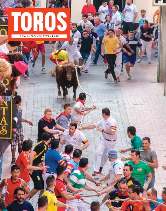 Toros revista, toro enmaromado