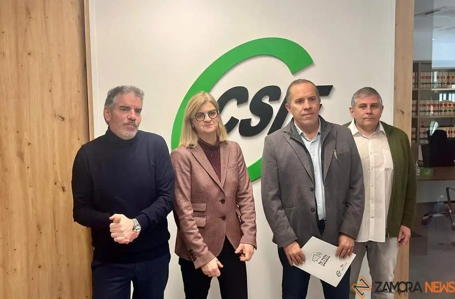 CSIF ZAMORA . imagen de archivo