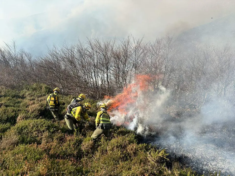 Bomberos forestales sofocando el fuego en Espinosa de los Monteros