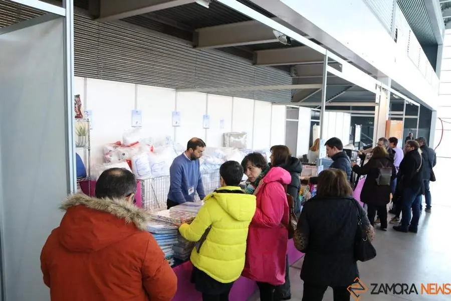 FERIA DEL STOCK_11