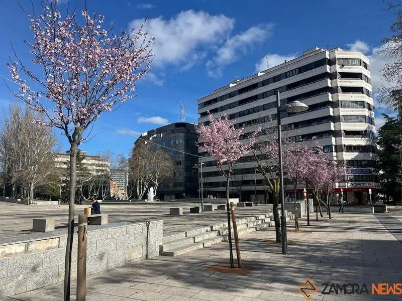 Plaza de La Marina _2