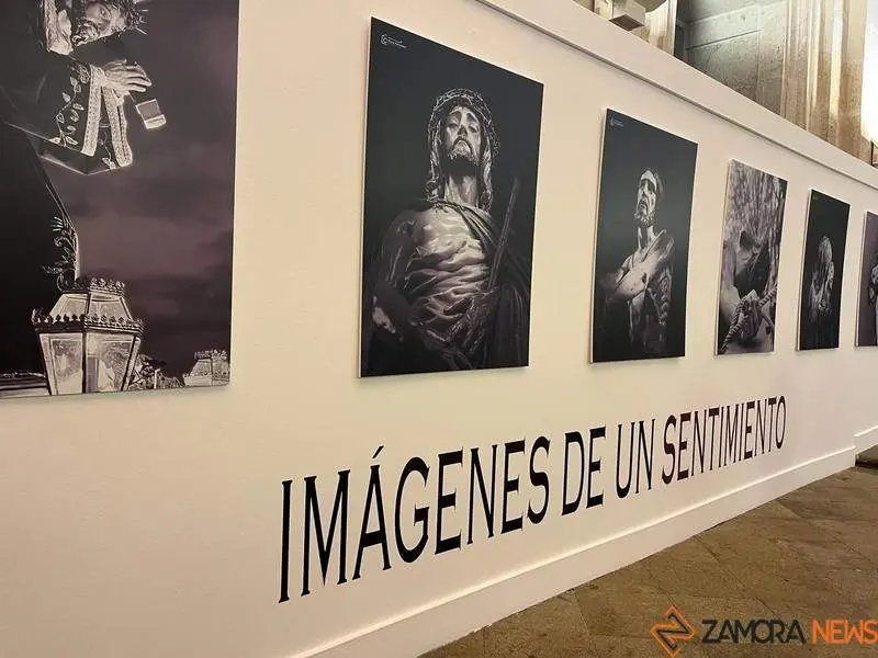 exposición Paco González 