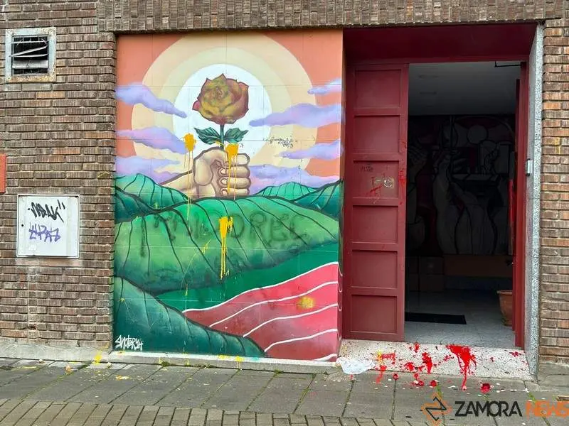Actos vandálicos en la sede del PSOE de Zamora (1)