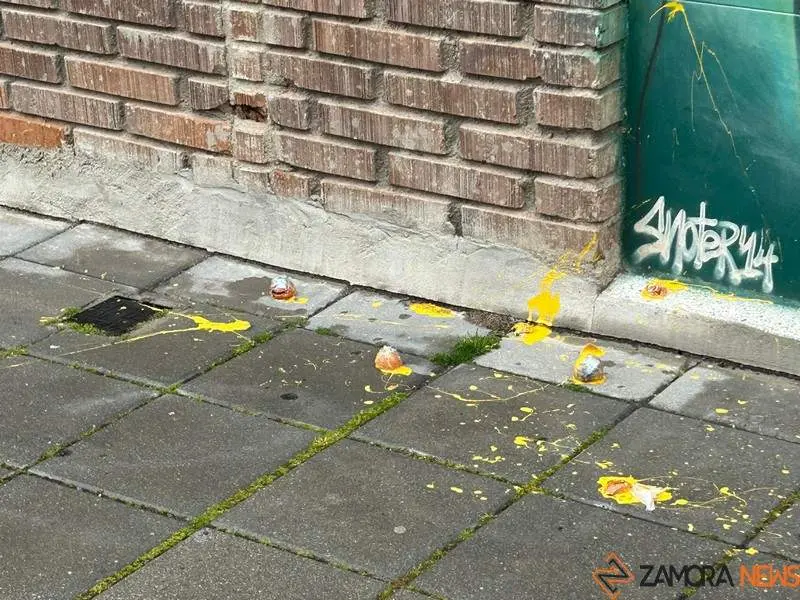 Actos vandálicos en la sede del PSOE de Zamora (2)