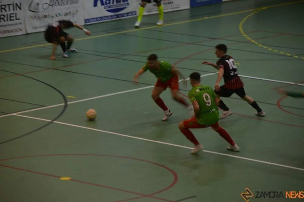 fsala zamora  (17)_tn