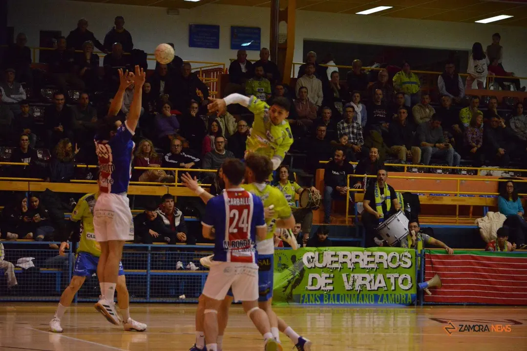 bm zamora