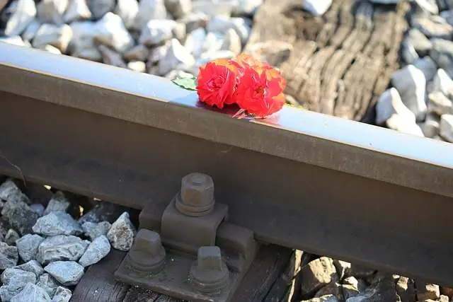 Rosas rojas en una vía de tren. Imagen de archivo