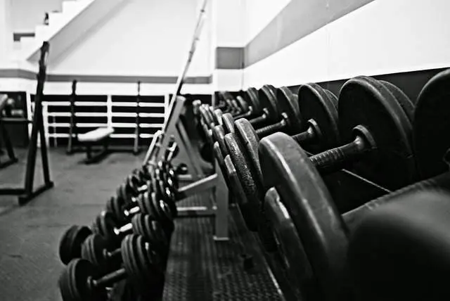 Mancuernas en un gimnasio. Imagen de archivo