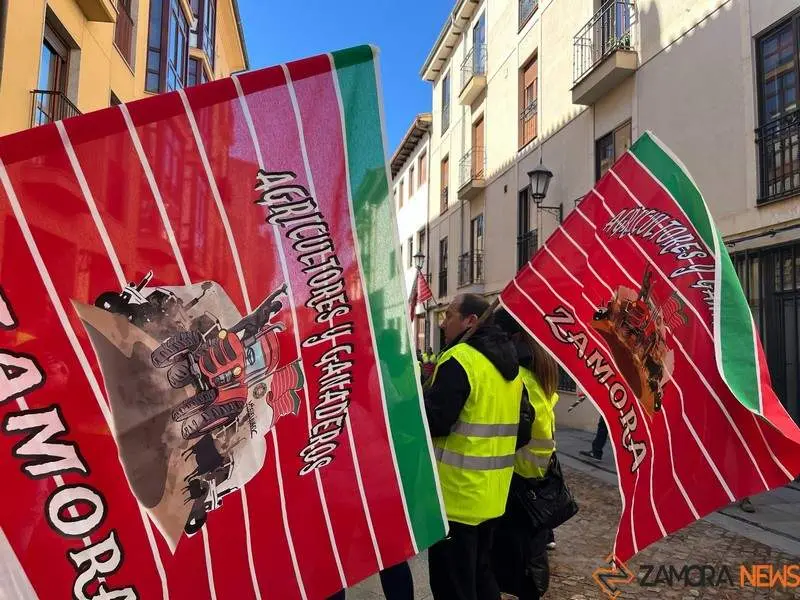 agricultores y ganaderos se manifiestan en Zamora _19