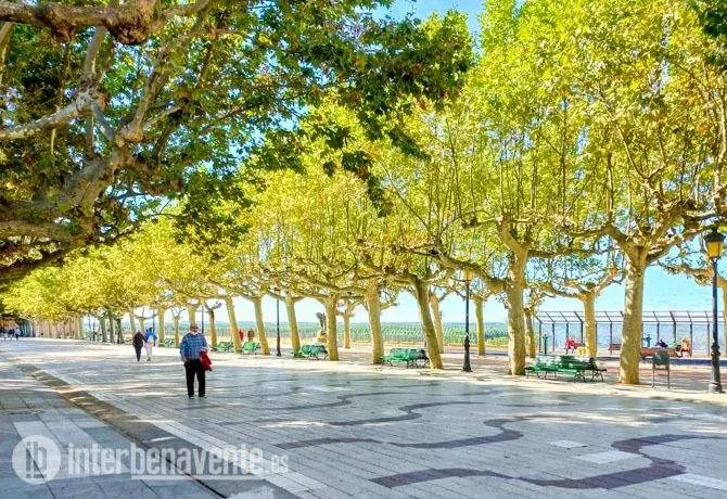 Paseo de la mota Foto Interbenavente