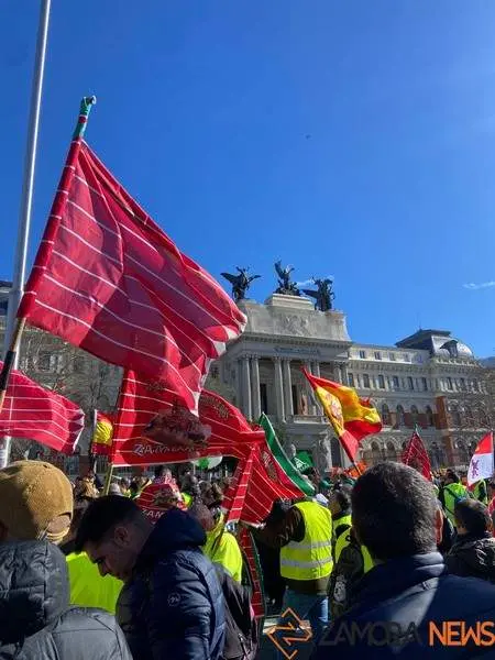 manifestación 26F Madrid 