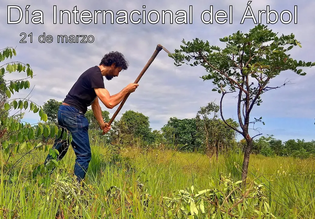 día del árbol 2024 con reforestaciones