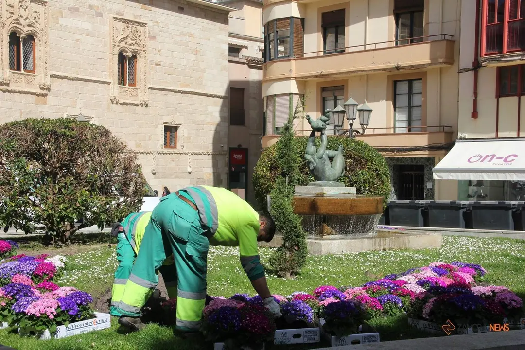 Operarios de Parques y Jardines decoran el centro de la ciudad