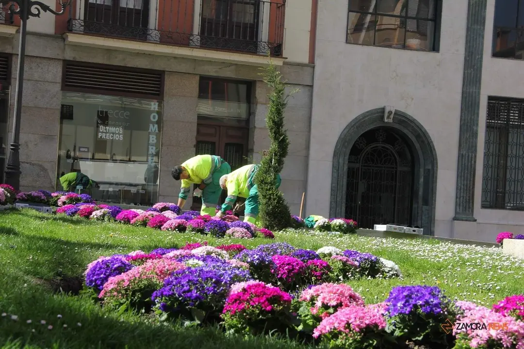 Operarios de Parques y Jardines decoran el centro de la ciudad