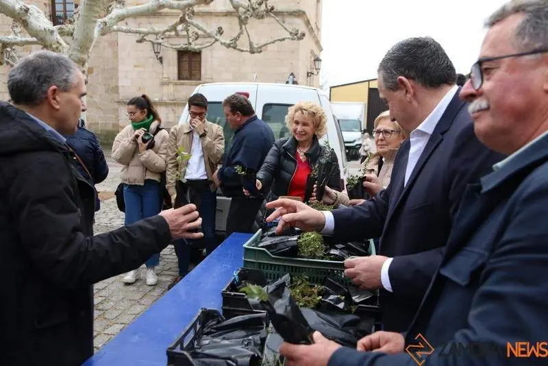 Reparto de alcornoques en el Día del Árbol (1)