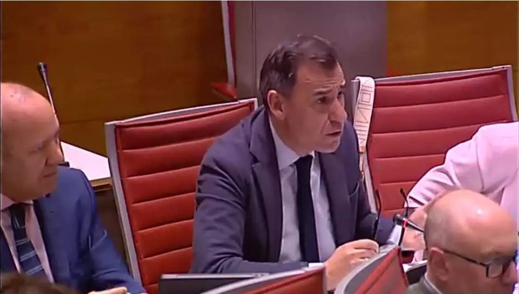 Maillo senado