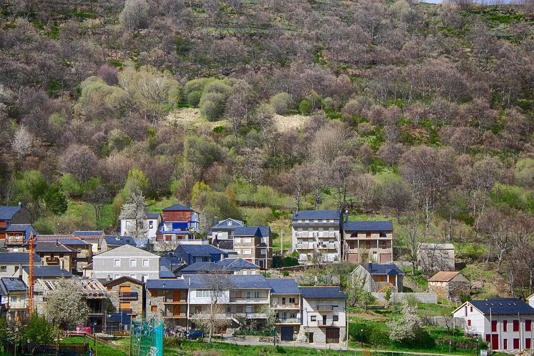 San Martín de Castañeda