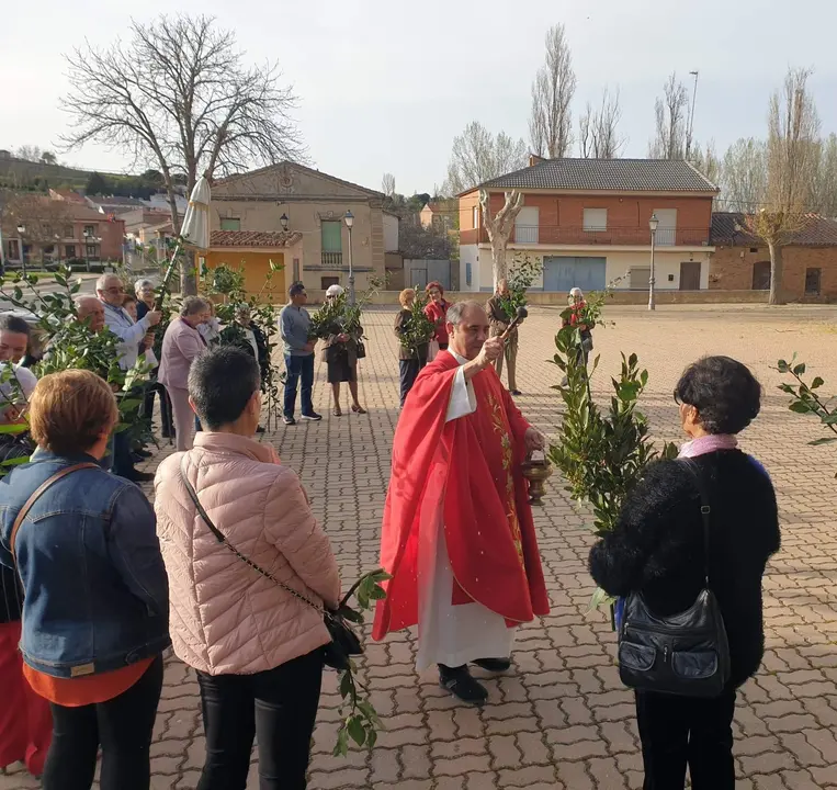 Domingo de Ramos en Venialbo. Imagen Facebook