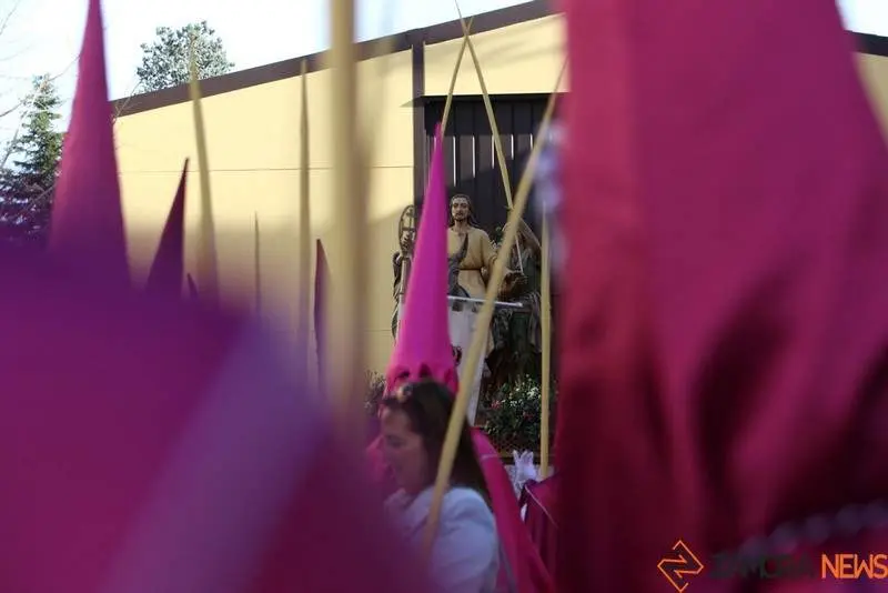 Procesión de La Borriquita (26)