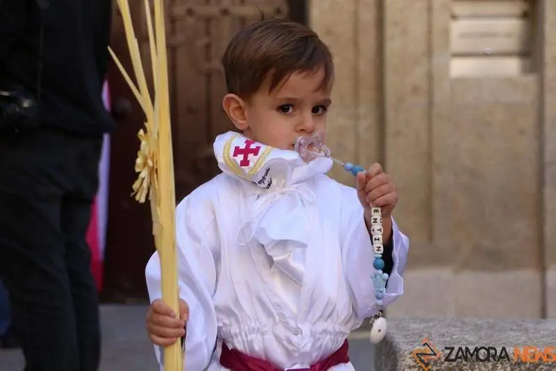 Procesión de La Borriquita (11)