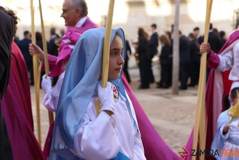 Procesión de La Borriquita (13)