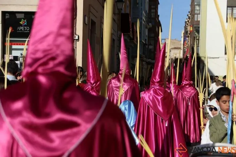 Procesión de La Borriquita (35)