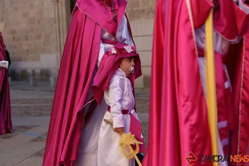 Procesión de La Borriquita (31)