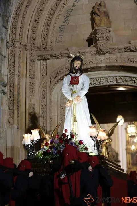 cristo misericordia toro (28)_tn
