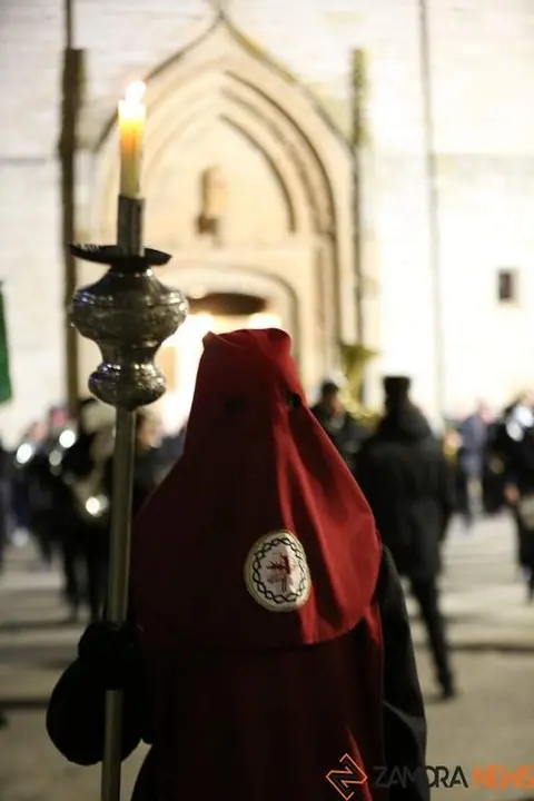 cristo misericordia toro (32)_tn