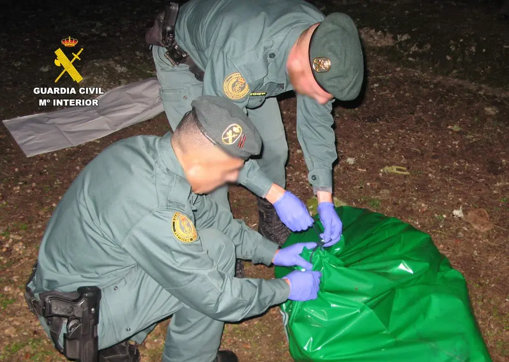 Foto detalle del momento de la retirada del animal por componentes del SEPRONA.