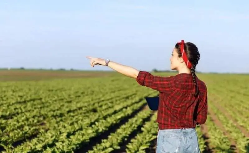 Mujer trabajando en el campo. Imagen de archivo