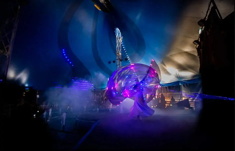 CIRCO BRAVO