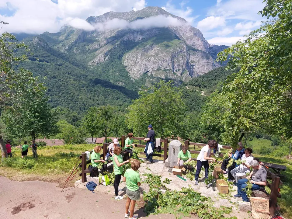 voluntariado ambiental