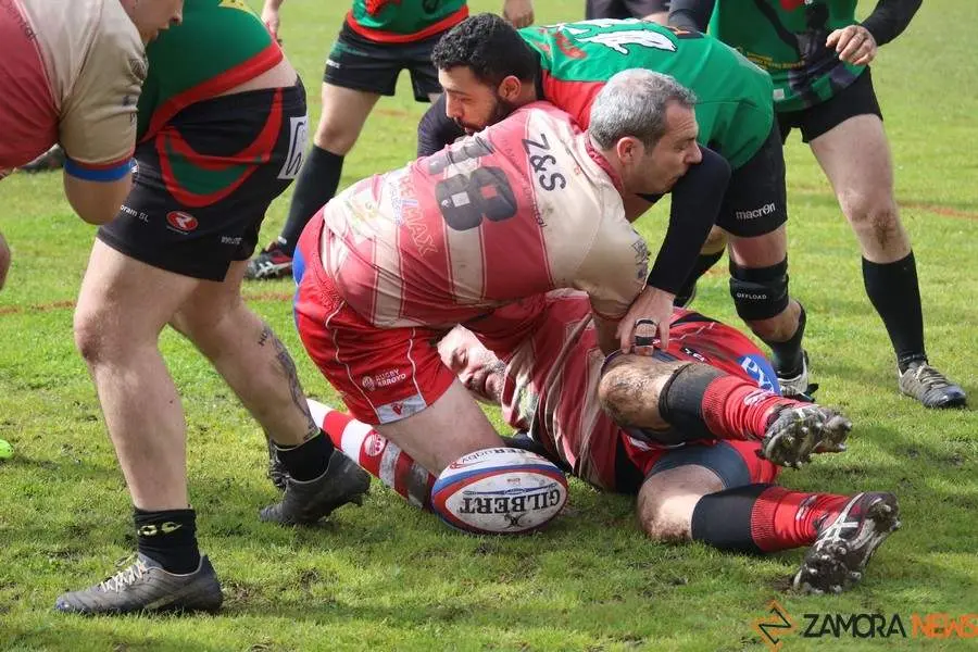 Rugby Zamora