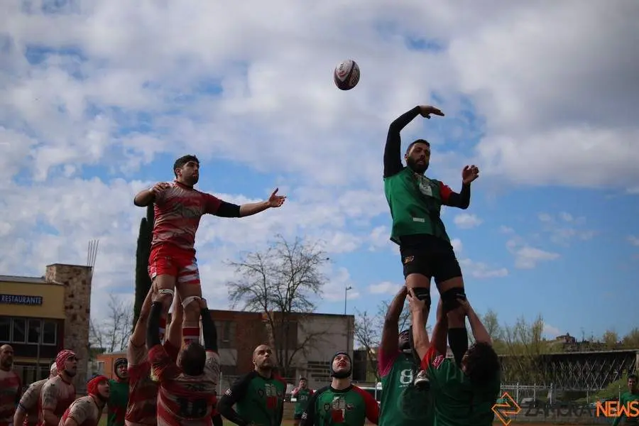 Rugby Zamora _3