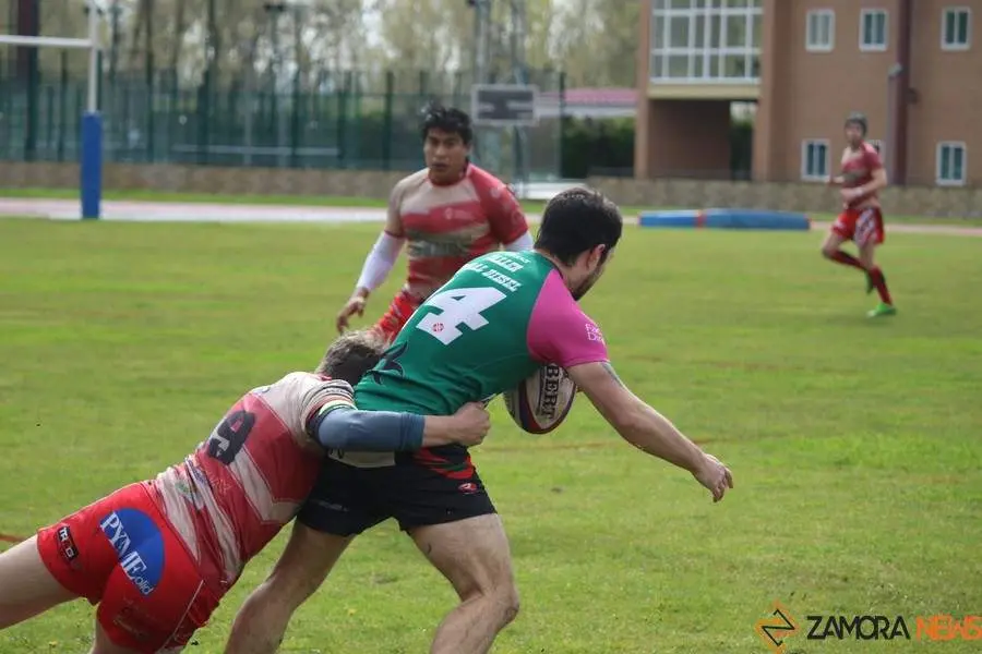 Rugby Zamora _8