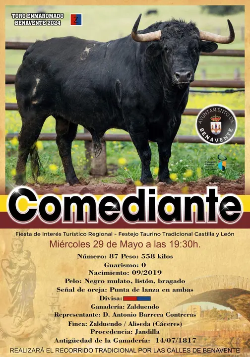 cartel toro 2024