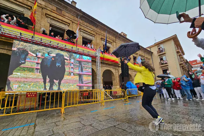 Petición Toro Enmaromado vía Interbenavente.es