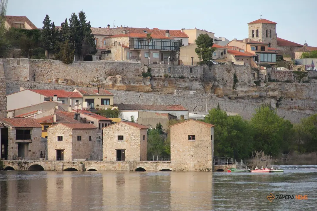 Ace&ntilde;as de Olivares