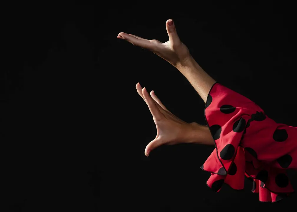 Bailaora flamenca. Imagen de archivo