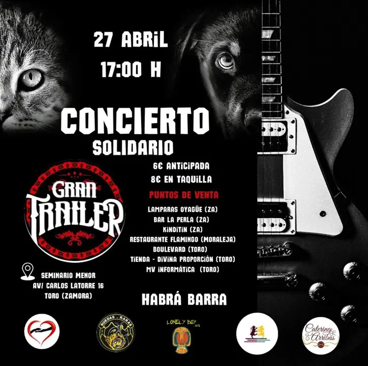 Cartel concierto solidario Asociación de voluntarios por los animales abandonados en Toro