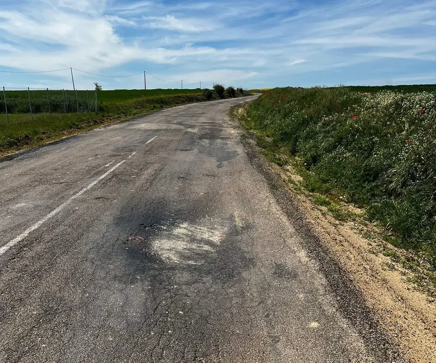 Estado de la ZA-623 entre Casaseca de las Chanas y Moraleja del Vino